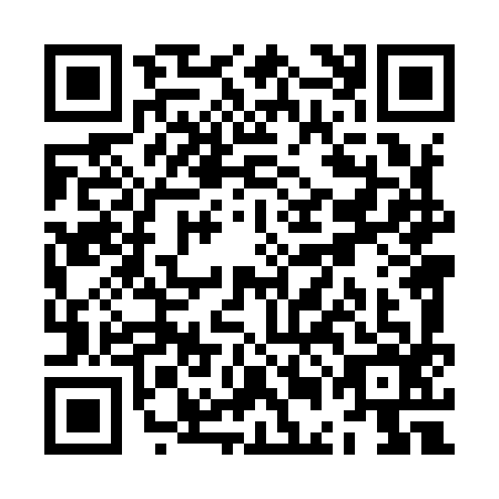 QR code for ZEL9963