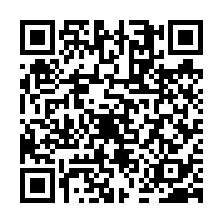 QR code for ZEW6389