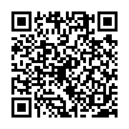 QR code for ZFM6133