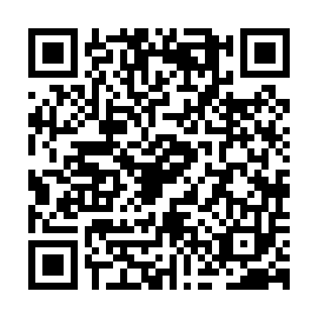 QR code for ZFX0539