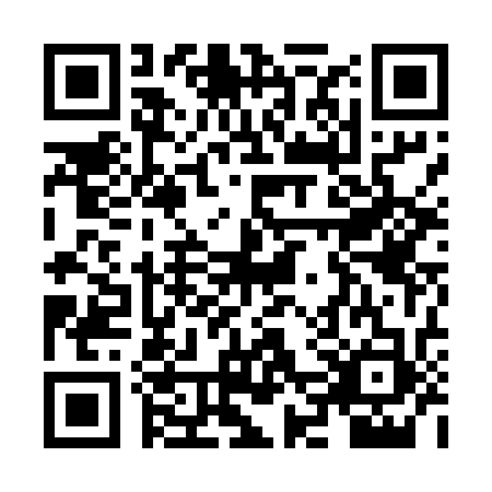 QR code for ZFX5333