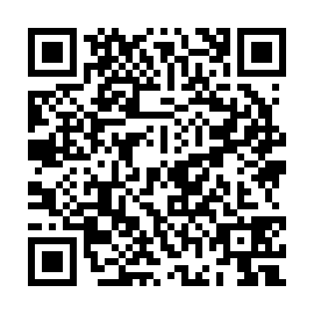 QR code for ZGI2386