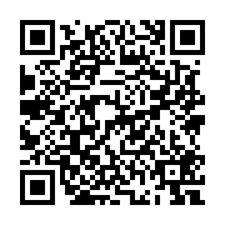 QR code for ZGI5095