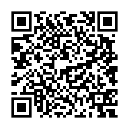QR code for ZGT4317
