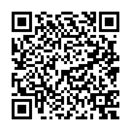 QR code for ZGX0311