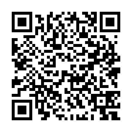 QR code for ZHM2384