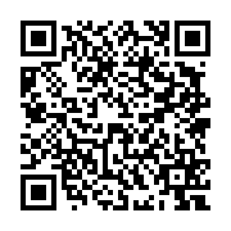 QR code for ZHM4653