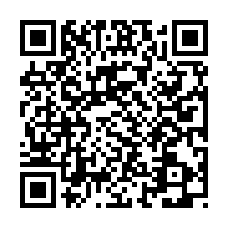QR code for ZHN9934