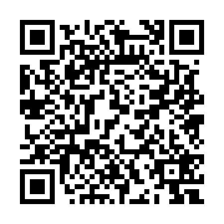 QR code for ZHP5295