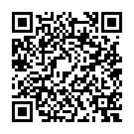 QR code for ZHS1101
