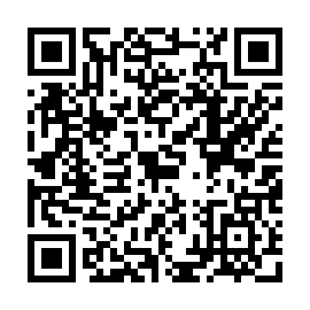 QR code for ZHU2079