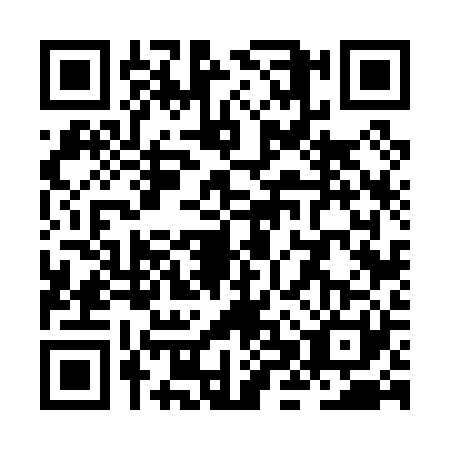 QR code for ZHV0213