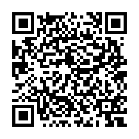 QR code for ZIC6117