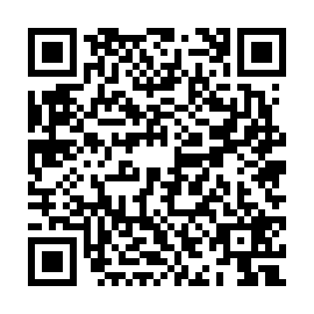 QR code for ZIE6295