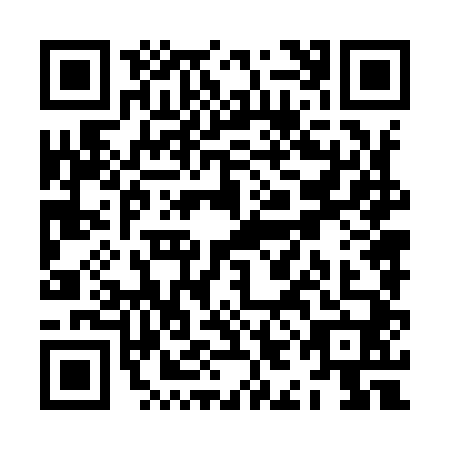 QR code for ZIN9406