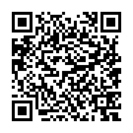 QR code for ZIN9793
