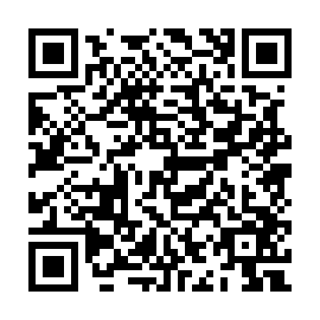 QR code for ZIP5461
