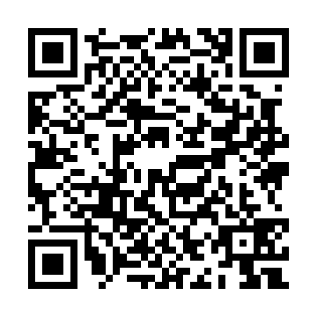 QR code for ZIY0394