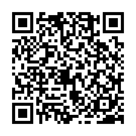 QR code for ZIZ3706