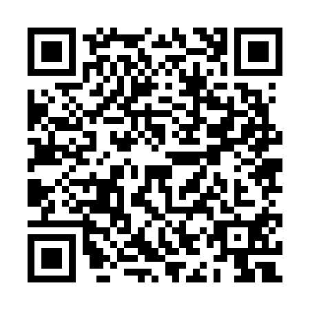 QR code for ZIZ6109
