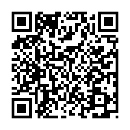 QR code for ZJB4313