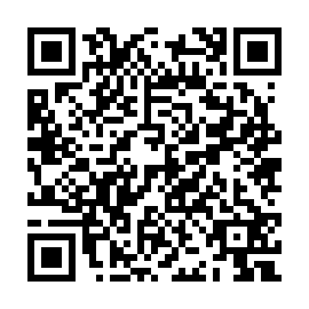 QR code for ZJJ2221