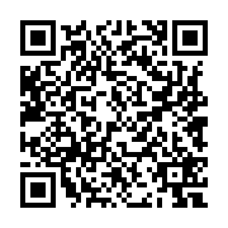QR code for ZJT9295