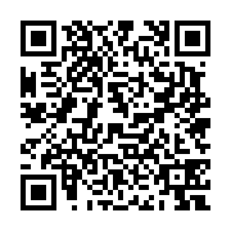 QR code for ZKE4385