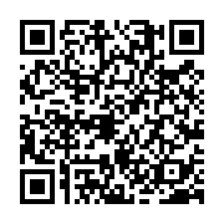 QR code for ZKL4395