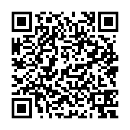 QR code for ZKM7382