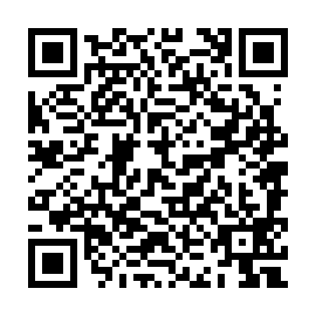 QR code for ZKN3996