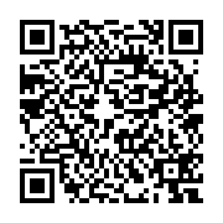 QR code for ZLC3196