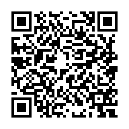 QR code for ZLH9542
