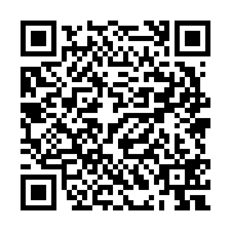 QR code for ZLM6196