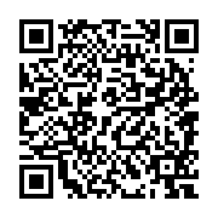 QR code for ZLN2967
