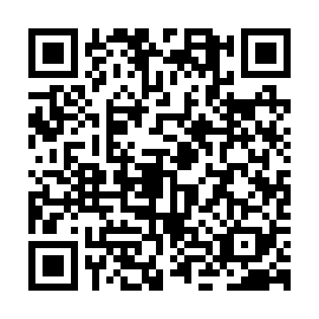 QR code for ZLQ2295