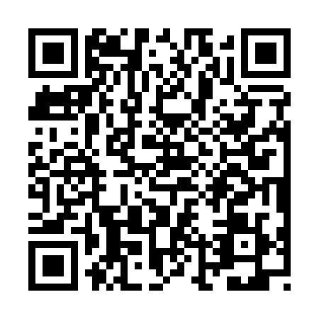 QR code for ZLS1294