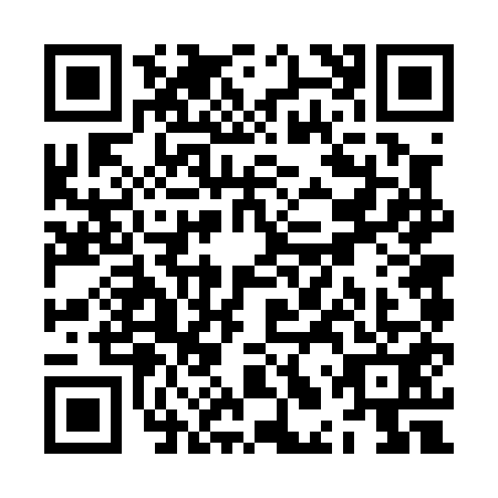 QR code for ZLV0511