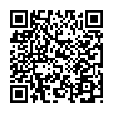 QR code for ZLX9508