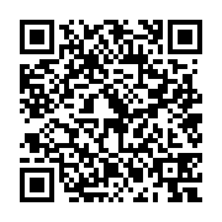 QR code for ZMG7381