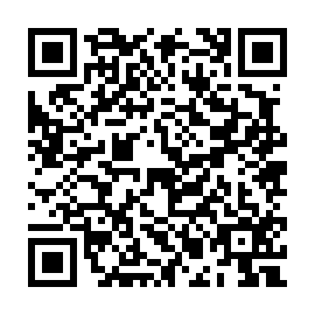 QR code for ZMJ4160