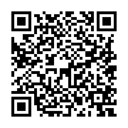 QR code for ZMJ9041