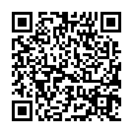 QR code for ZMW2009