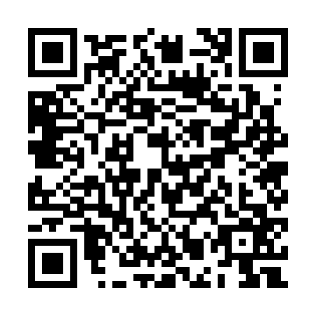 QR code for ZMW3667