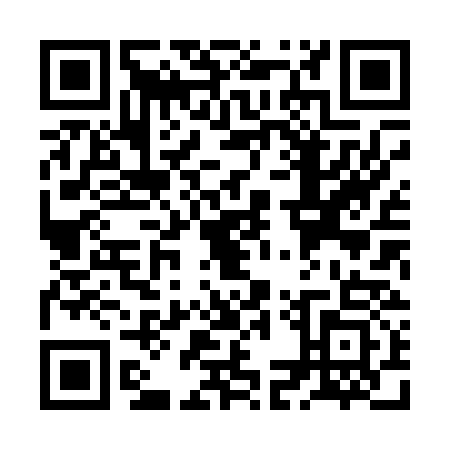 QR code for ZMX0339