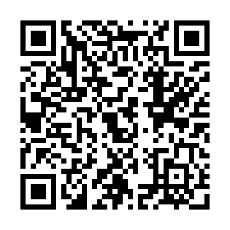 QR code for ZMX9009