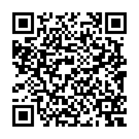 QR code for ZNL4161