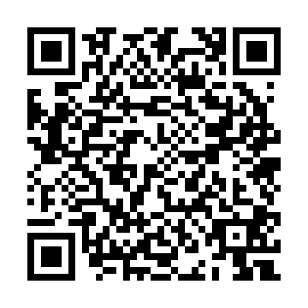 QR code for ZNO2006
