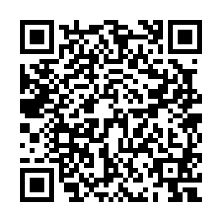QR code for ZNS0806
