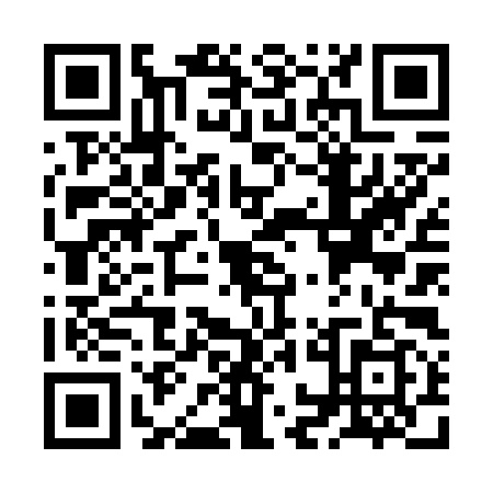 QR code for ZON6992